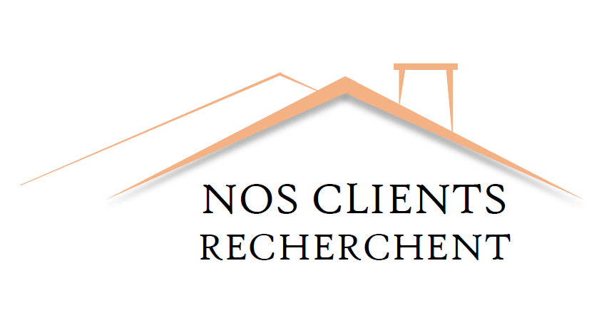 Logo recherche